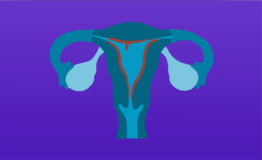 Do You Ovulate Before Or After Your Period?